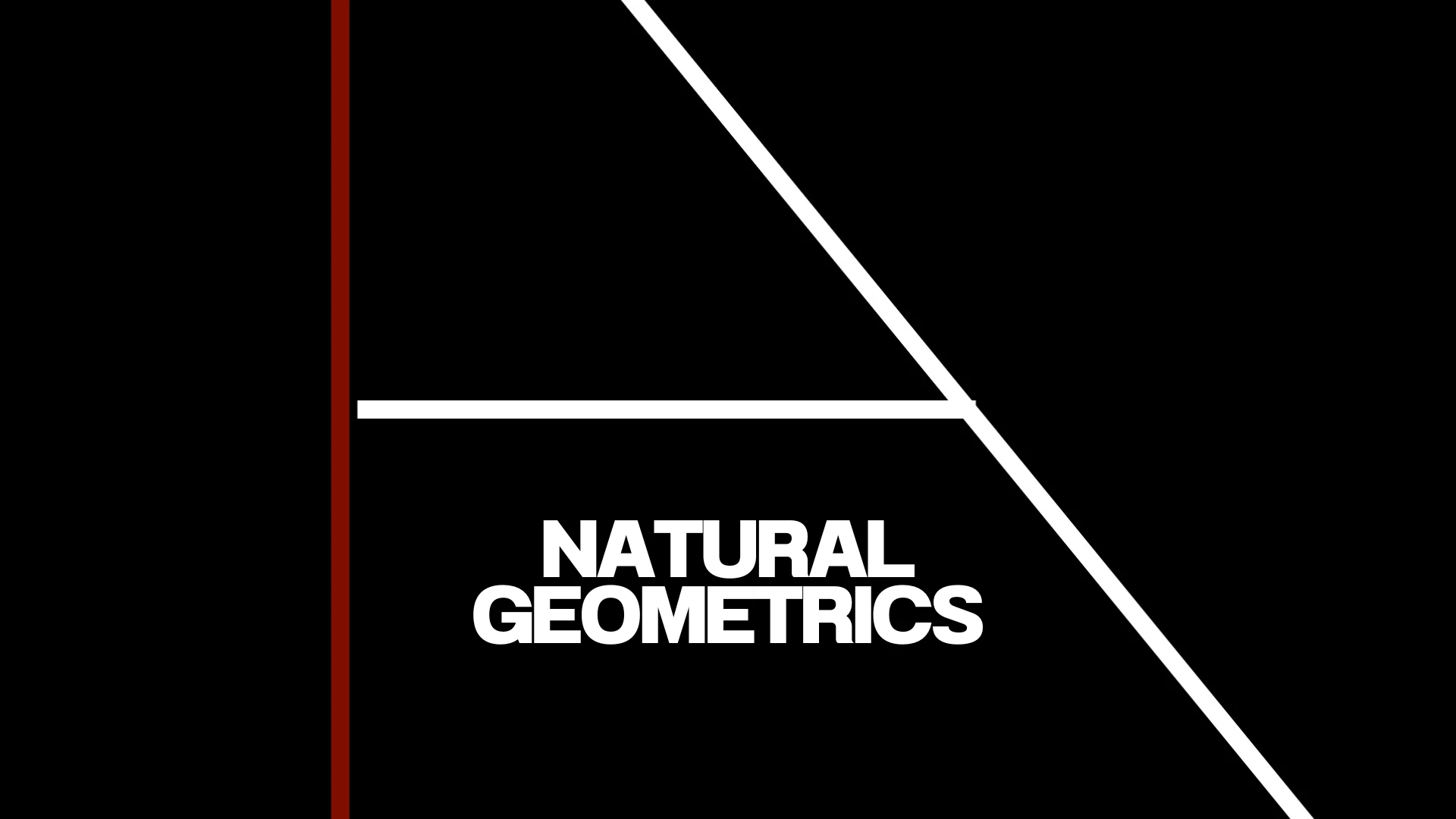 Natural Geometrics